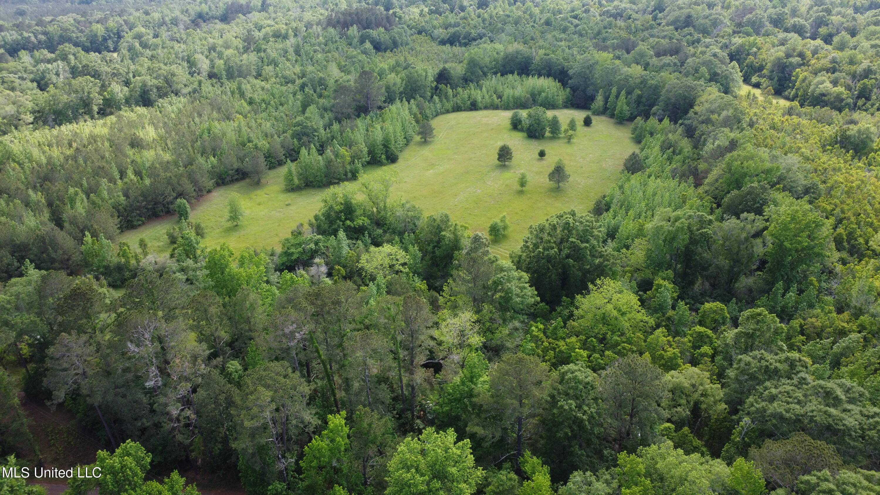 Fate Ward Road Carson, MS 39427 - Photo 8 of 33 dji_fly_20250430_161044_133_174604757766
