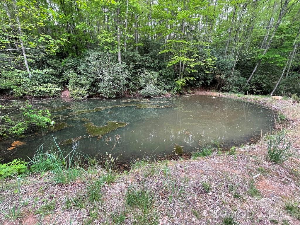 700 Copperhead Cove Road Sylva, NC 28779 - Photo 18 of 23