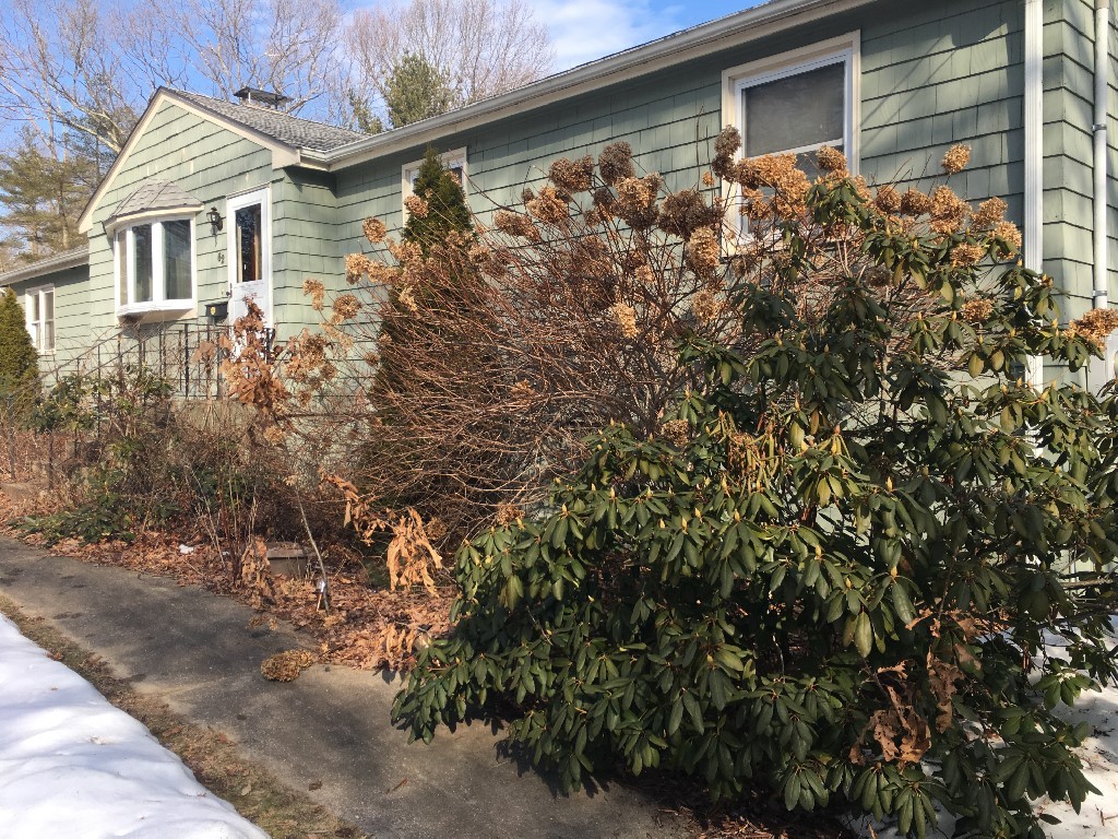 62 Bruce Road Bellingham, MA 02019 - Photo 9 of 10 Gallery Image 9