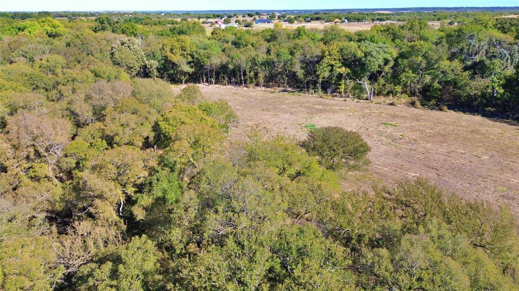 0 Bee Creek Road Maypearl, TX 76064 - Photo 5 of 39 a view of a forest with a tree