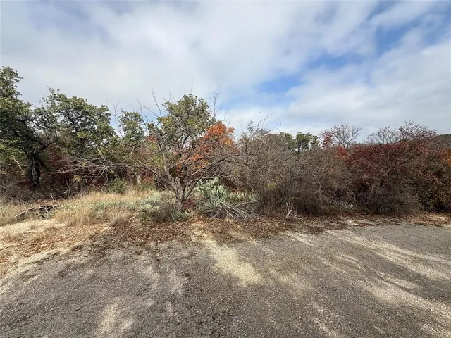 a view of a dry yard with trees