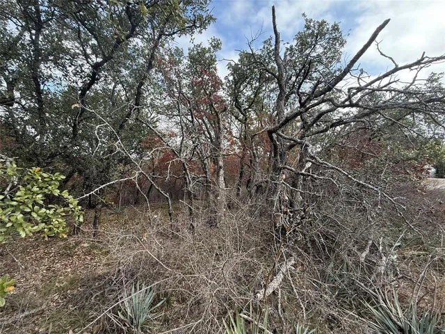 a view of a yard with a tree
