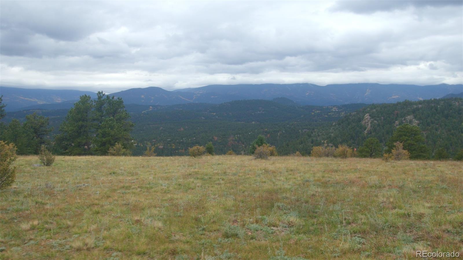 270 Silver Springs Road Bailey, CO 80421 - Photo 2 of 5 Gallery Image 2