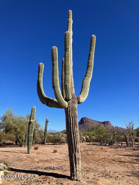 10790 West Massingale Road Tucson, AZ 85743 - Photo 7 of 7 Gallery Image 7