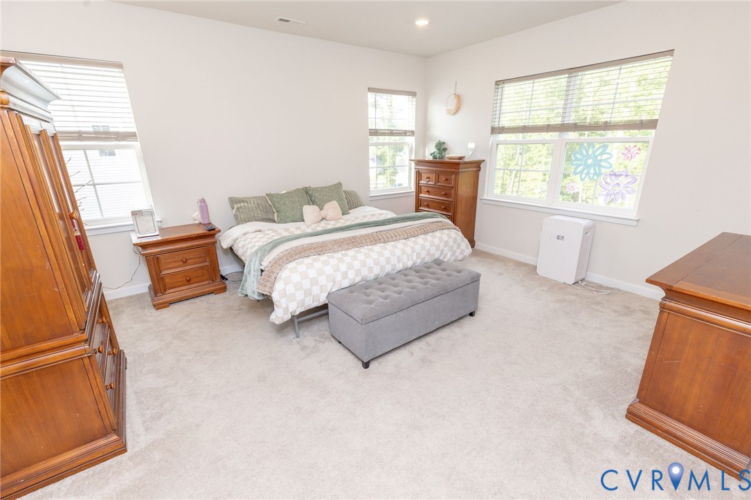9119 Moldova Road Chesterfield, VA 23832 - Photo 26 of 46