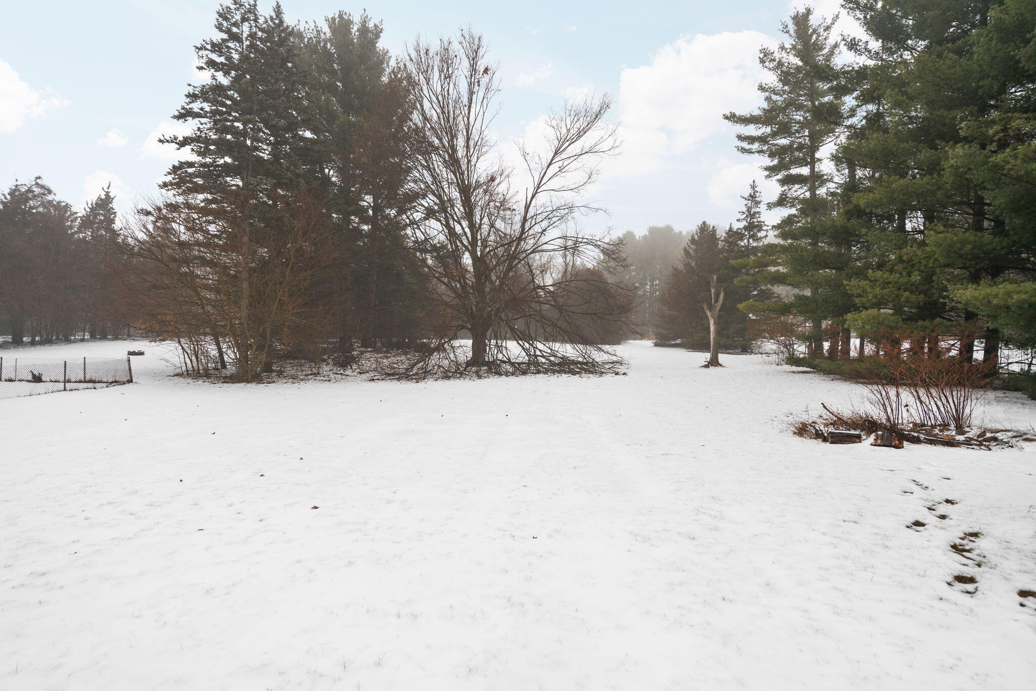 10552 Cady Road Grass Lake, MI 49240 - Photo 18 of 27 11-web-or-mls-DSC03896