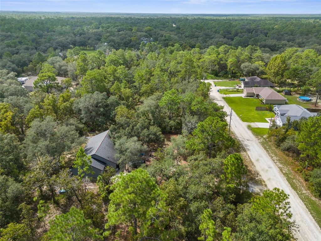15236 Mottled Owl Road Brooksville, FL 34614 - Photo 14 of 22