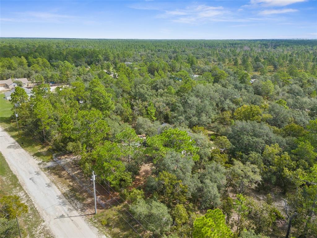 15236 Mottled Owl Road Brooksville, FL 34614 - Photo 15 of 22