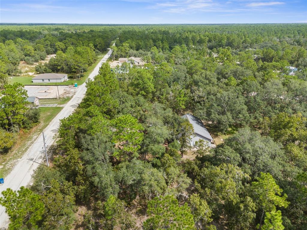 15236 Mottled Owl Road Brooksville, FL 34614 - Photo 16 of 22