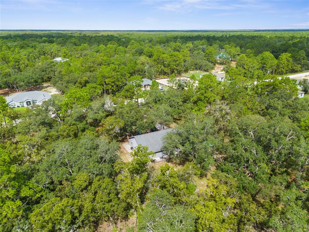 15236 Mottled Owl Road Brooksville, FL 34614 - Photo 17 of 22