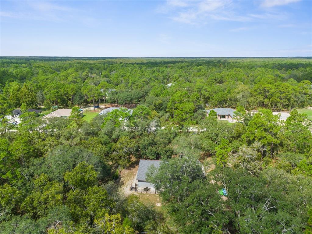 15236 Mottled Owl Road Brooksville, FL 34614 - Photo 18 of 22