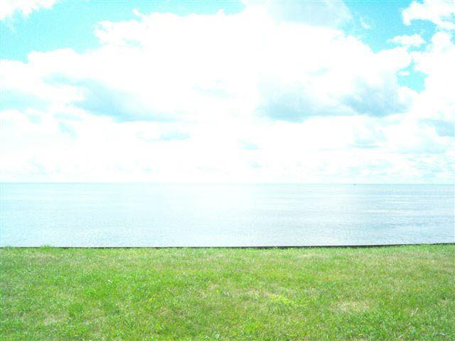 4556 Burke Road Newport, MI 48166 - Photo 3 of 4 Lake views