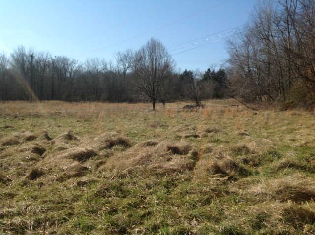 855 Old Gallatin Road Portland, TN 37148 - Photo 19 of 20