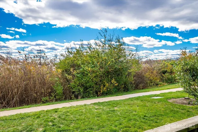 a view of a yard with an trees