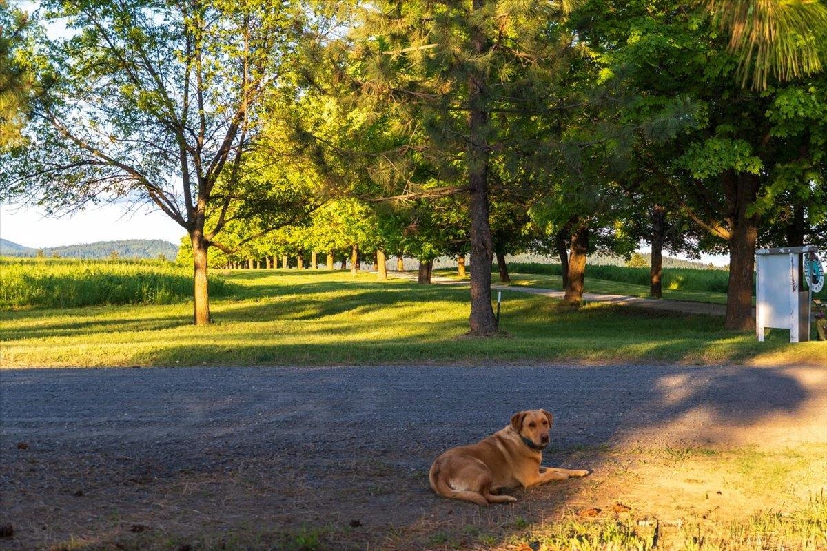 Nka East Day Mt Spokane Road, Unit GREEN BLUFF Mead, WA 99021 - Photo 12 of 16