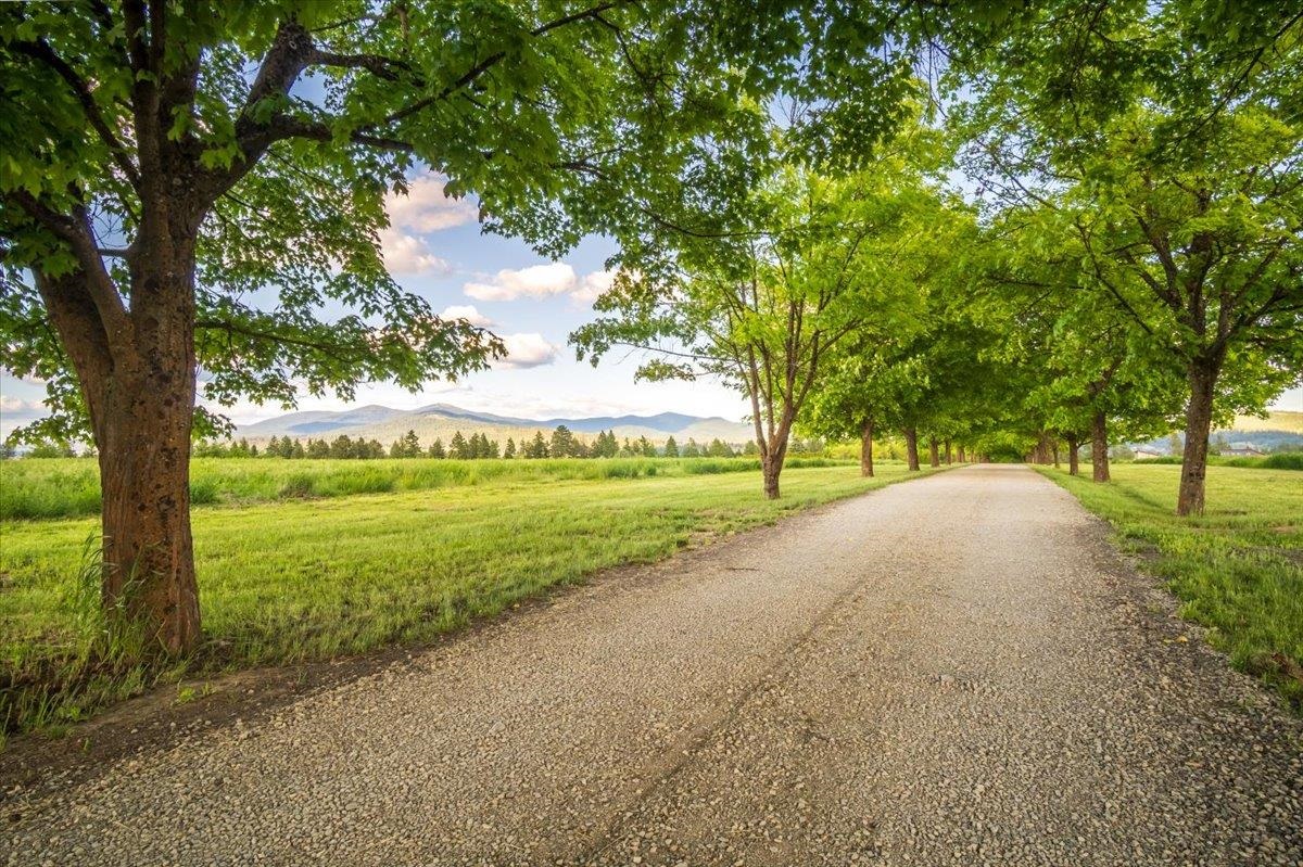 Nka East Day Mt Spokane Road, Unit GREEN BLUFF Mead, WA 99021 - Photo 14 of 16