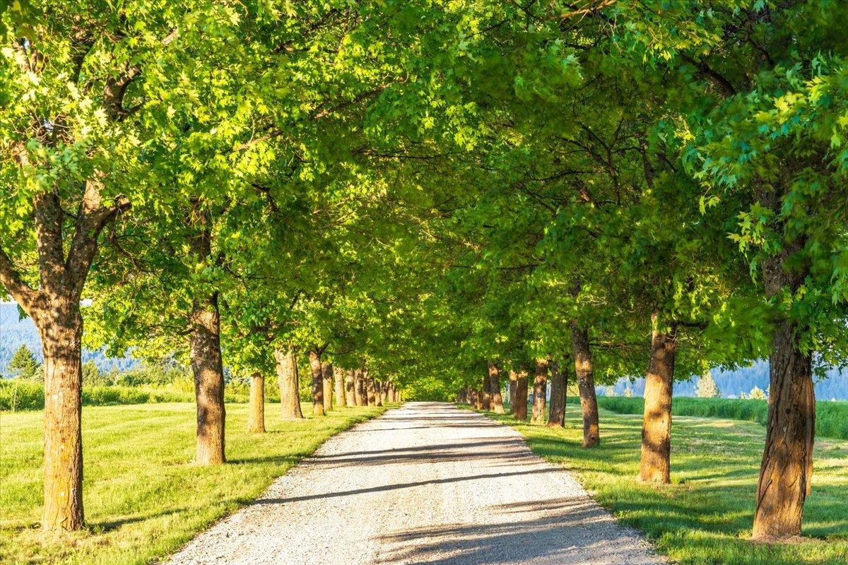 Nka East Day Mt Spokane Road, Unit GREEN BLUFF Mead, WA 99021 - Photo 15 of 16