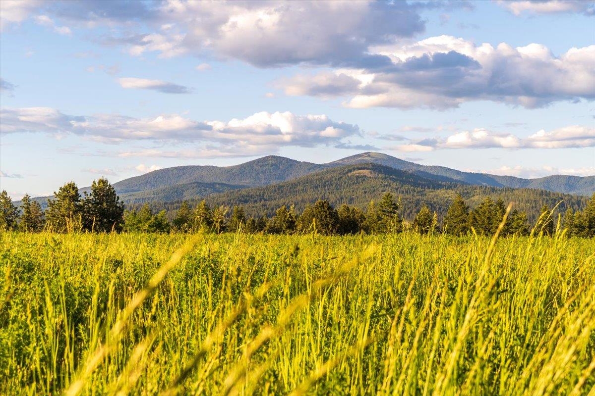 Nka East Day Mt Spokane Road, Unit GREEN BLUFF Mead, WA 99021 - Photo 16 of 16