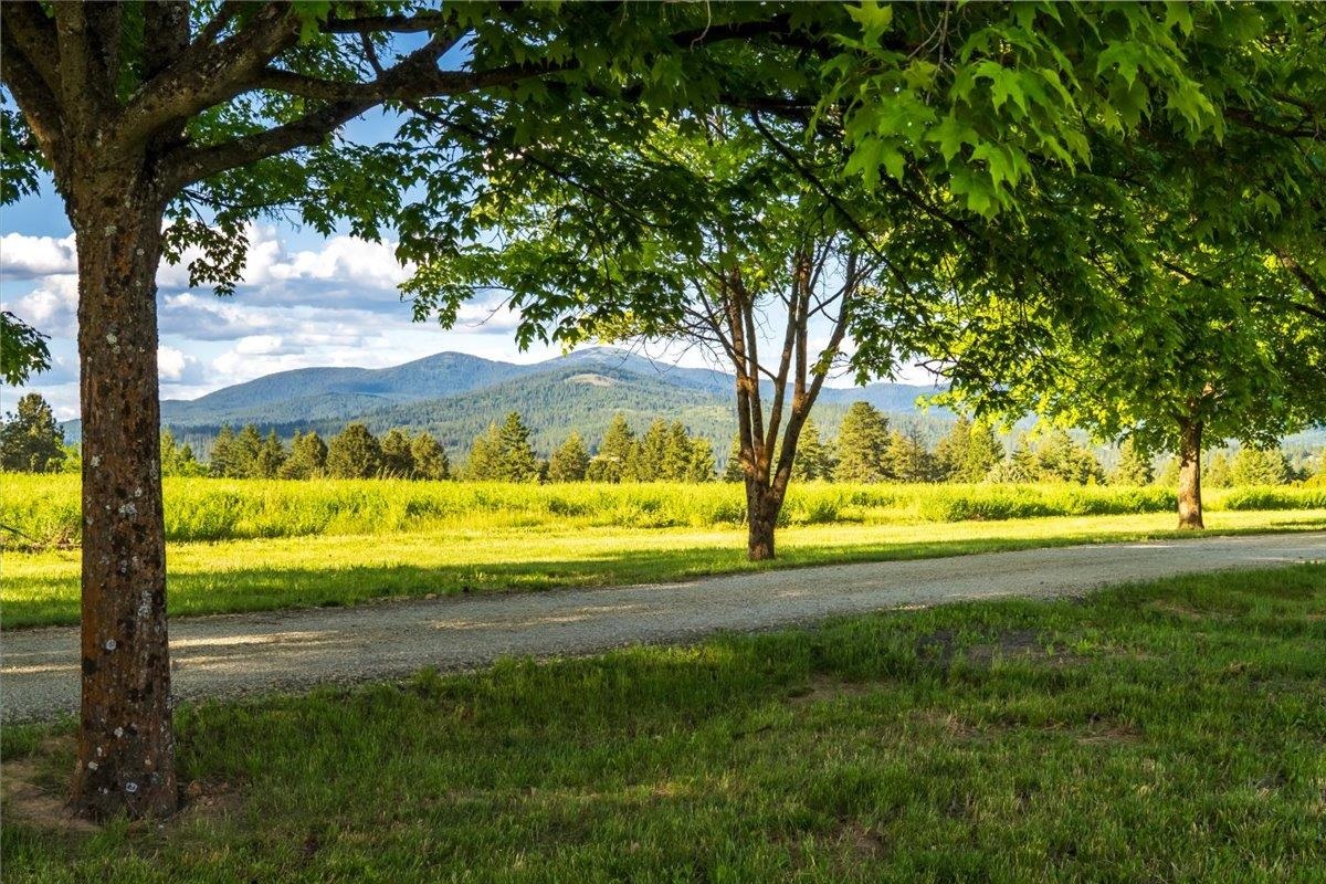 Nka East Day Mt Spokane Road, Unit GREEN BLUFF Mead, WA 99021 - Photo 4 of 16