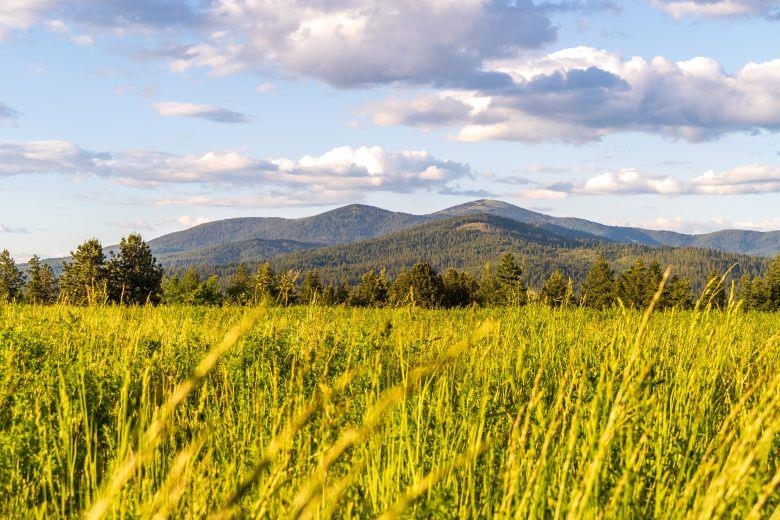 Nka East Day Mt Spokane Road, Unit GREEN BLUFF Mead, WA 99021 - Photo 6 of 16