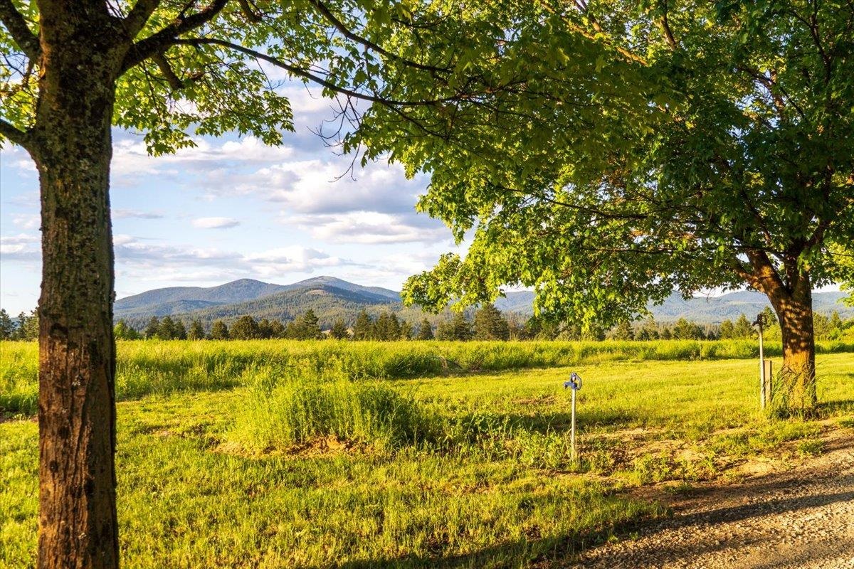 Nka East Day Mt Spokane Road, Unit GREEN BLUFF Mead, WA 99021 - Photo 10 of 16