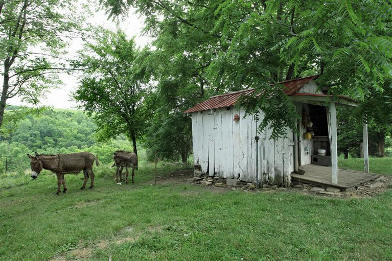 2224 Taylor Ridge Road Nicholasville, KY 40356 - Photo 23 of 37 Cool old building-was a smoke house at o