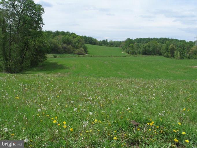 2640 Granite Road Woodstock, MD 21163 - Photo 2 of 3 Wooded View / Acreage