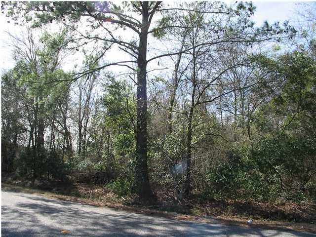 1391 Red Bank Road Walterboro, SC 29488 - Photo 1 of 3 Primary Photo