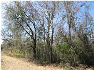 1391 Red Bank Road Walterboro, SC 29488 - Photo 2 of 3 Additional Photo