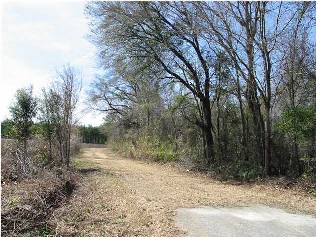 1391 Red Bank Road Walterboro, SC 29488 - Photo 3 of 3 Additional Photo