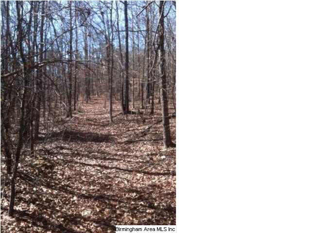 35 County Road, Unit 8 8 Ashland, AL 36251 - Photo 1 of 6