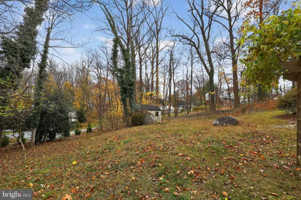 a view of a yard in front of a house