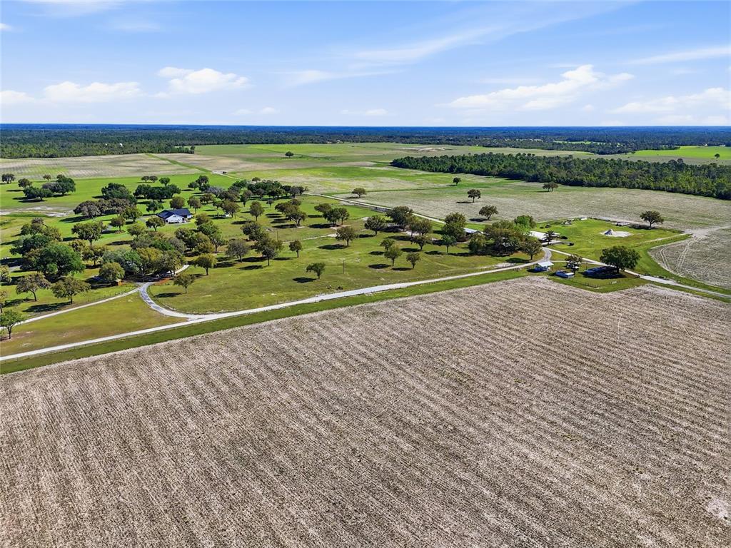 11131 Northeast 35th Street Bronson, FL 32621 - Photo 89 of 99
