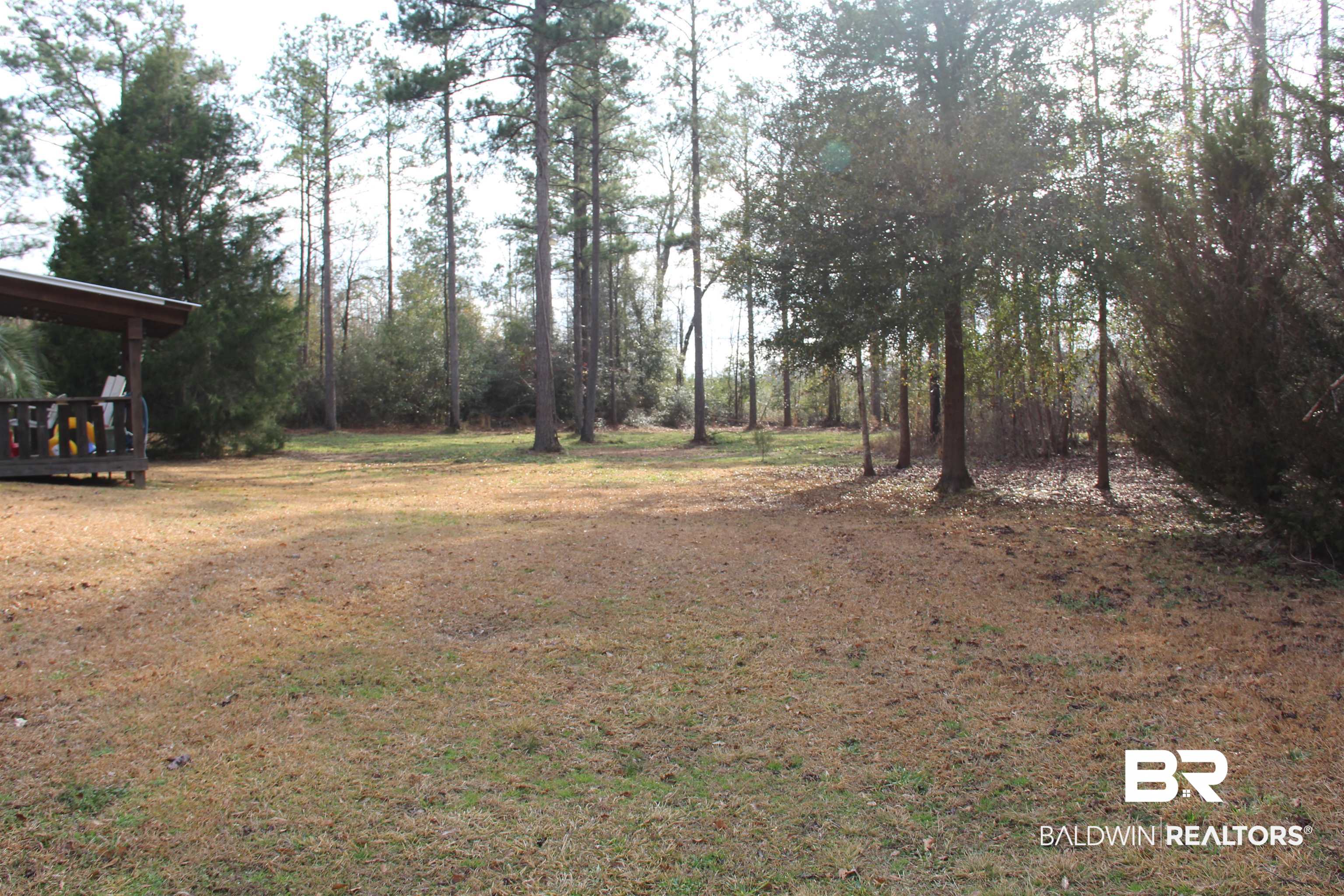 1485 Ramah Road Evergreen, AL 36401 - Photo 7 of 44