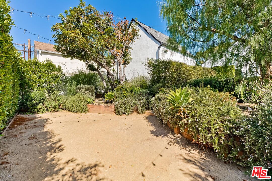 3720 Valleybrink Road Los Angeles, CA 90039 - Photo 29 of 31 a view of a yard with plants and trees