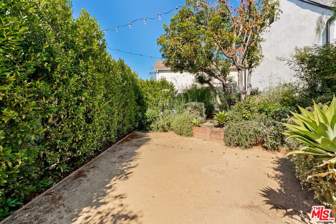 3720 Valleybrink Road Los Angeles, CA 90039 - Photo 30 of 31 a view of a garden with plants and trees