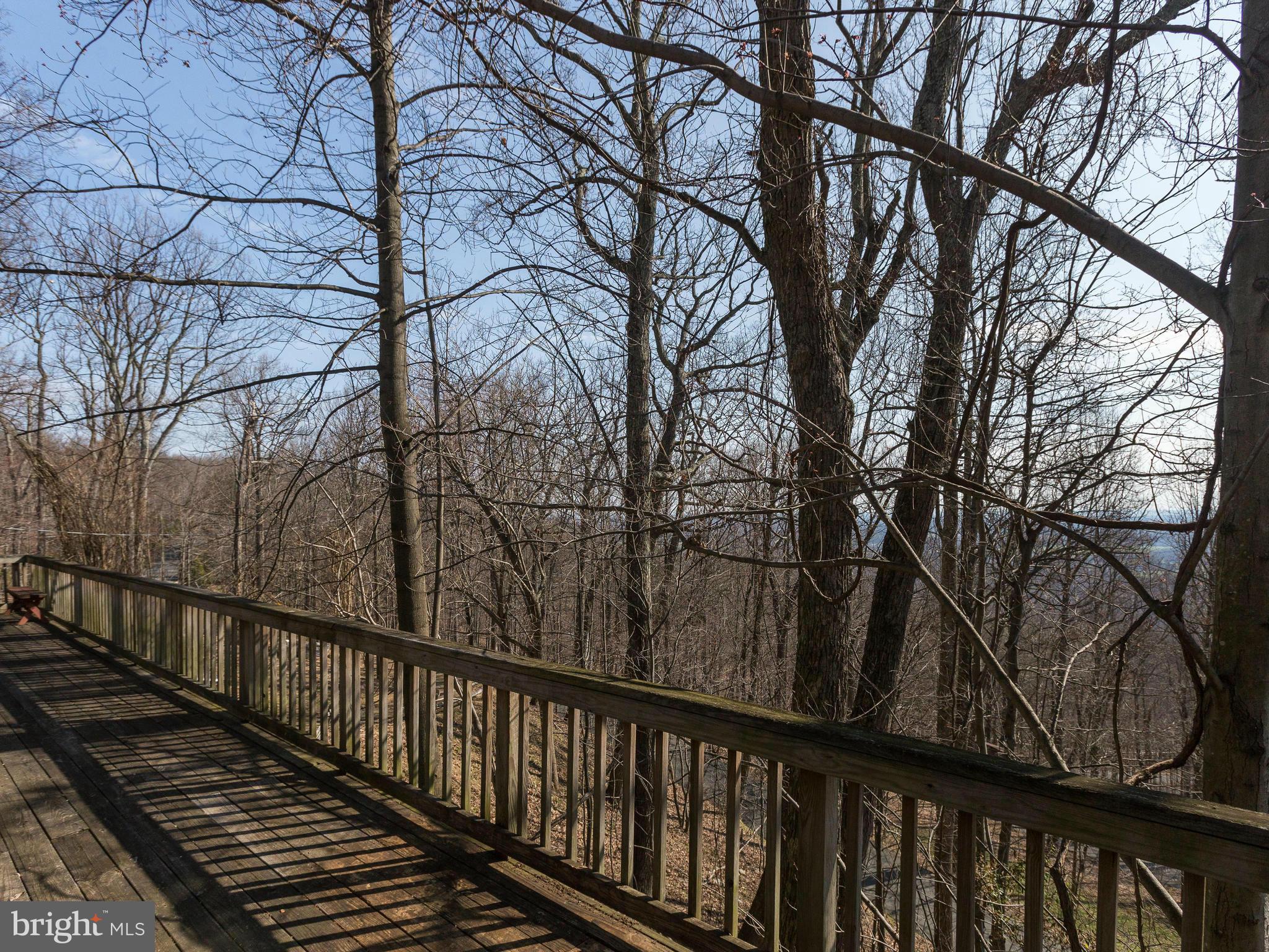 1897 Ridge Road Haymarket, VA 20169 - Photo 5 of 30 a view of a balcony with trees