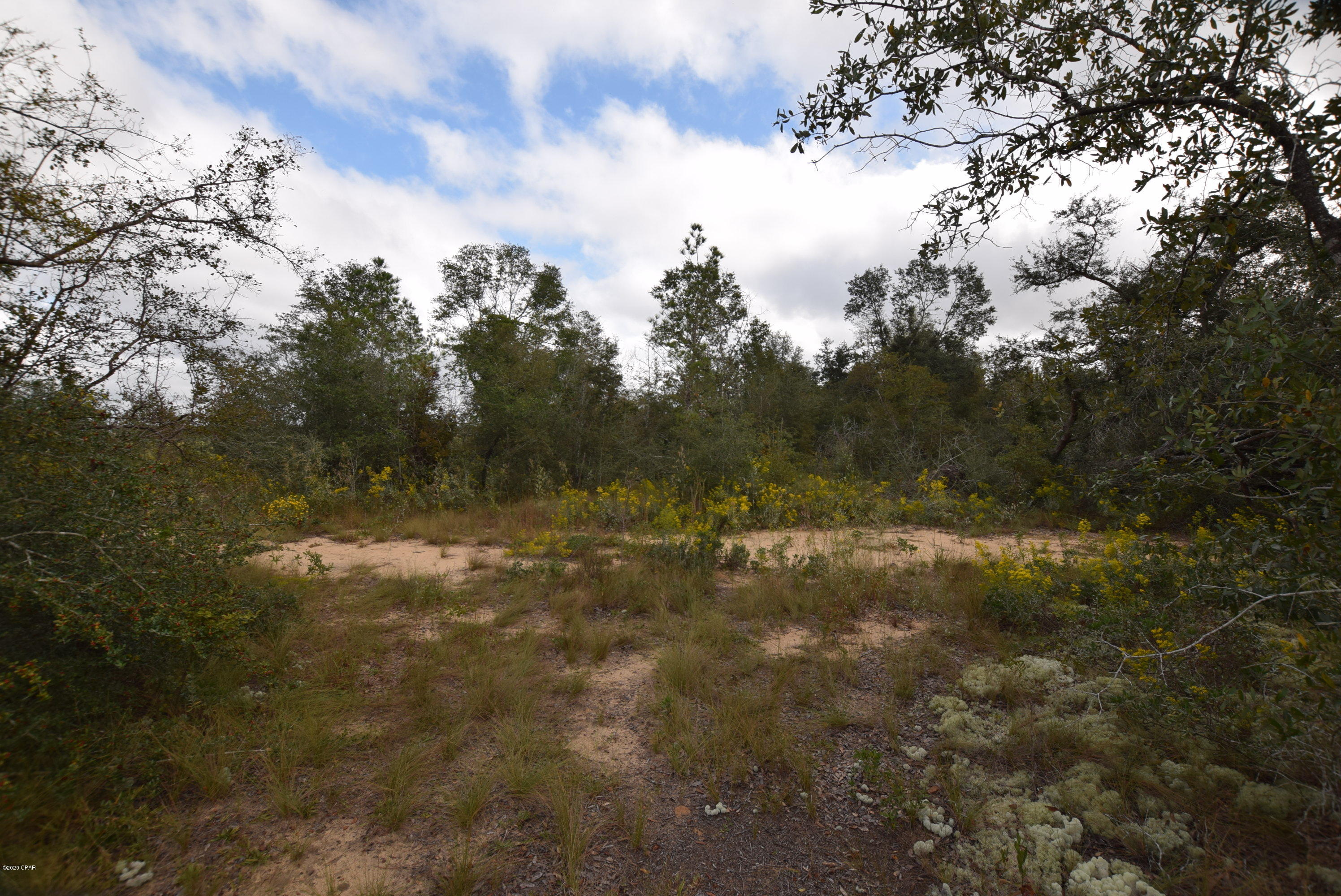 20800 Deep Springs Road Fountain, FL 32438 - Photo 36 of 62 Gallery Image 36