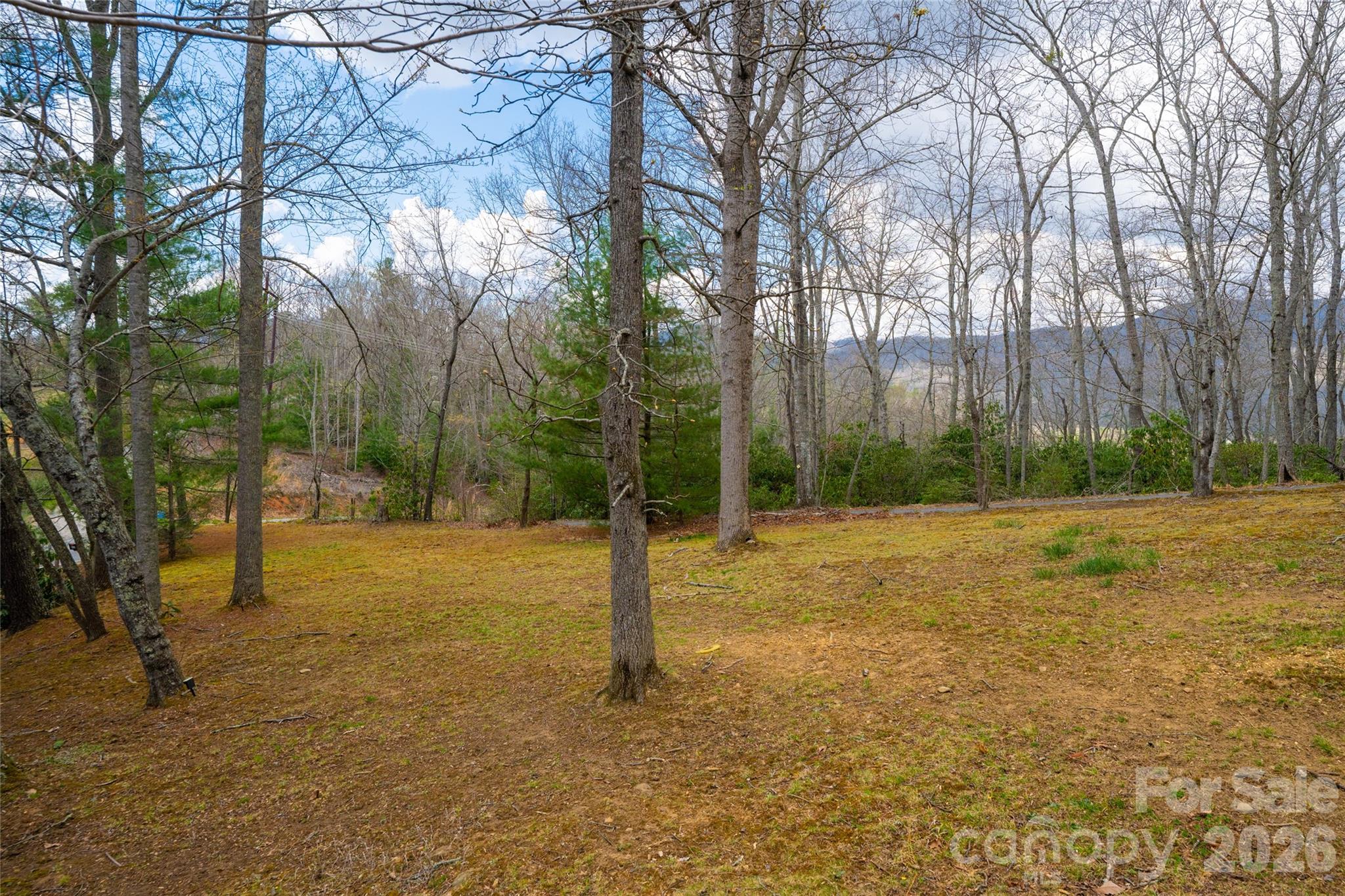 233 Church Road Fairview, NC 28730 - Photo 30 of 42