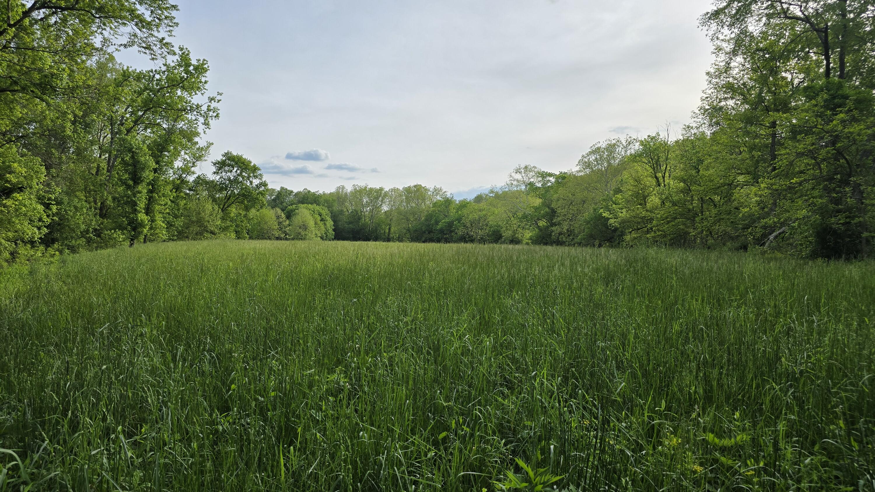 2 Folsom Jonesville Road Dry Ridge, KY 41035 - Photo 12 of 13