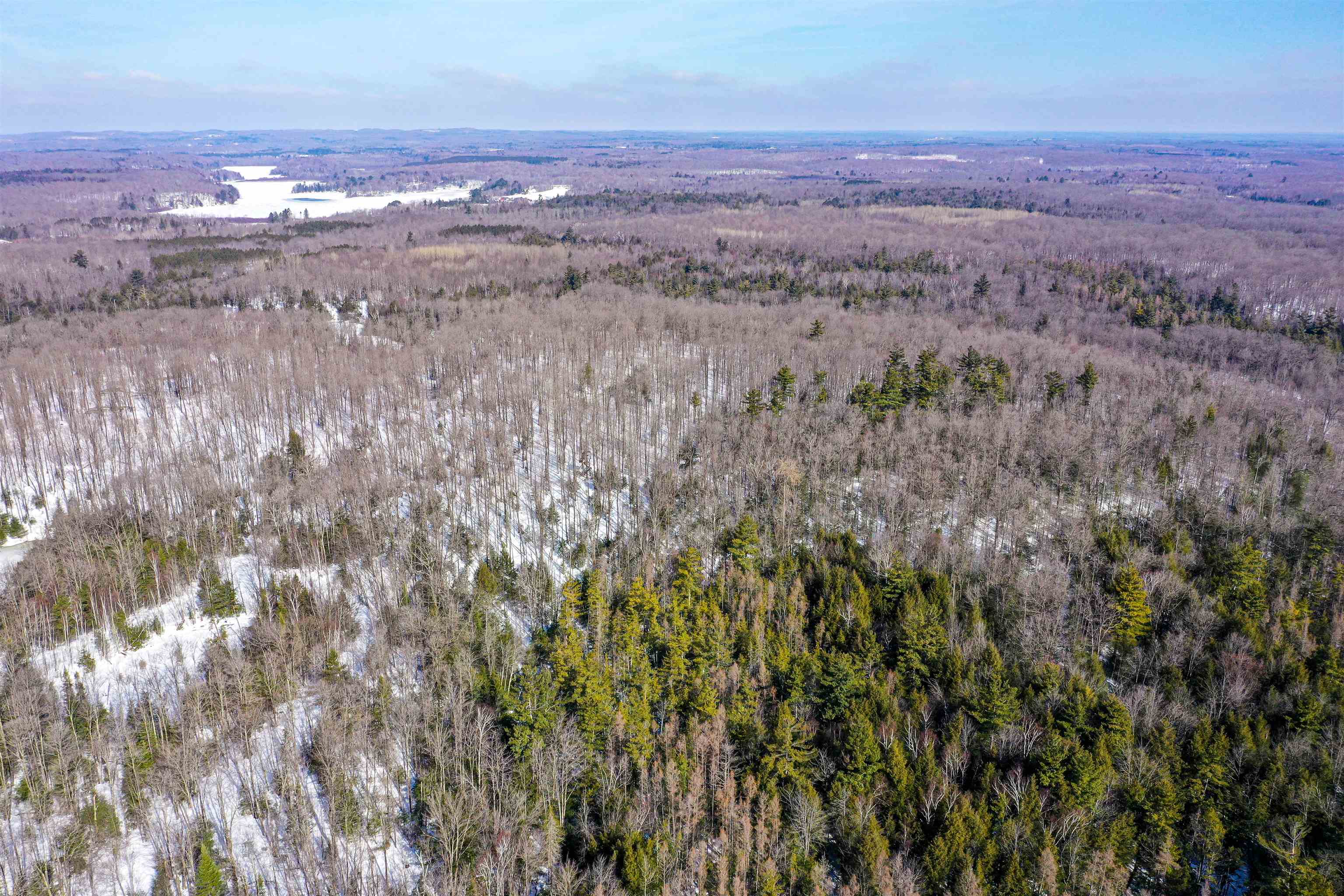 Emil Drive Rib Lake, WI 54470 - Photo 3 of 8