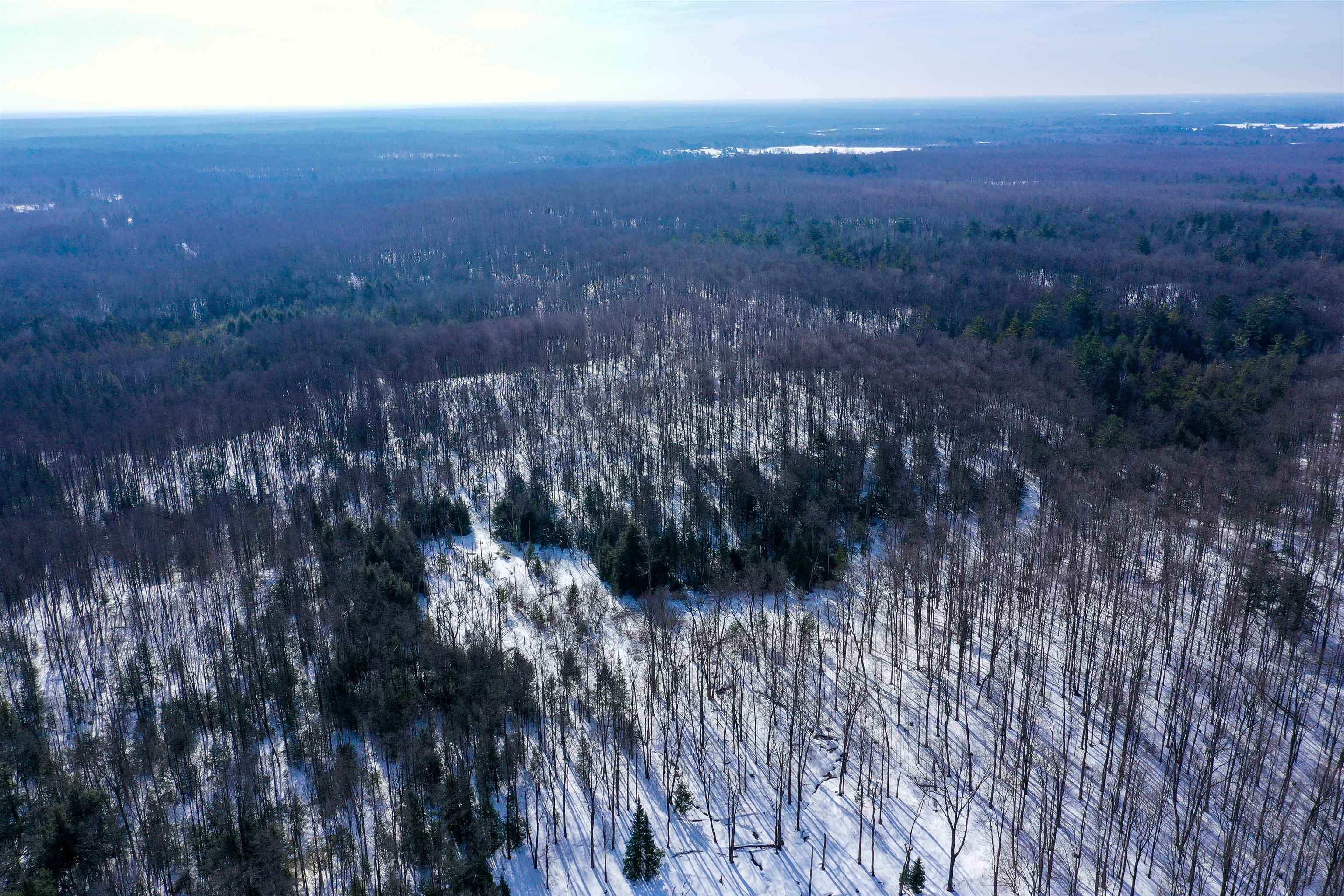 Emil Drive Rib Lake, WI 54470 - Photo 4 of 8
