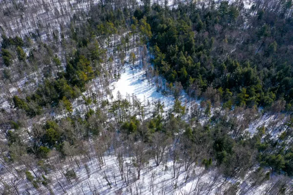 $249,900 | Emil Drive, Rib Lake, WI 54470