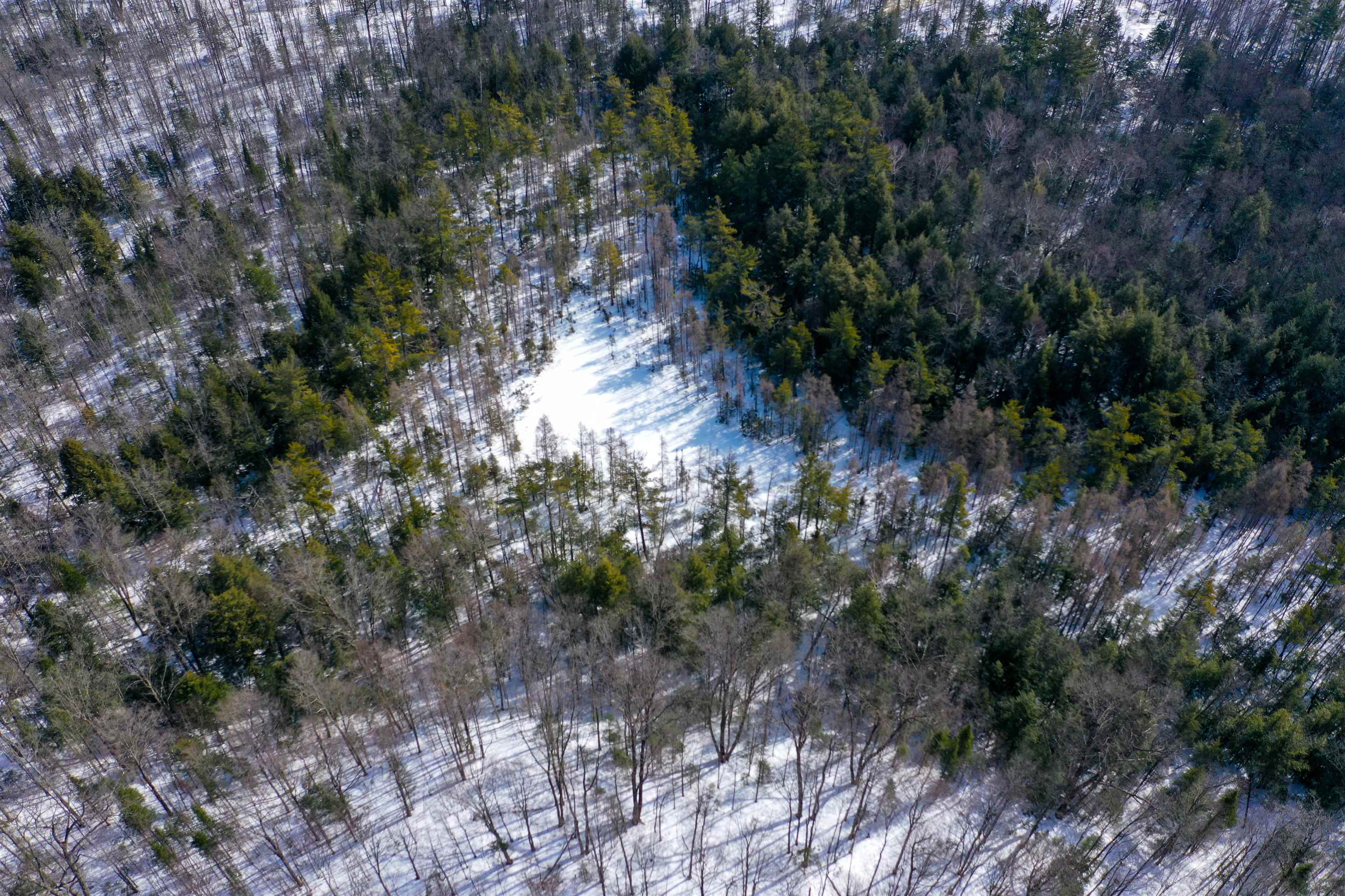 Emil Drive Rib Lake, WI 54470 - Photo 5 of 8