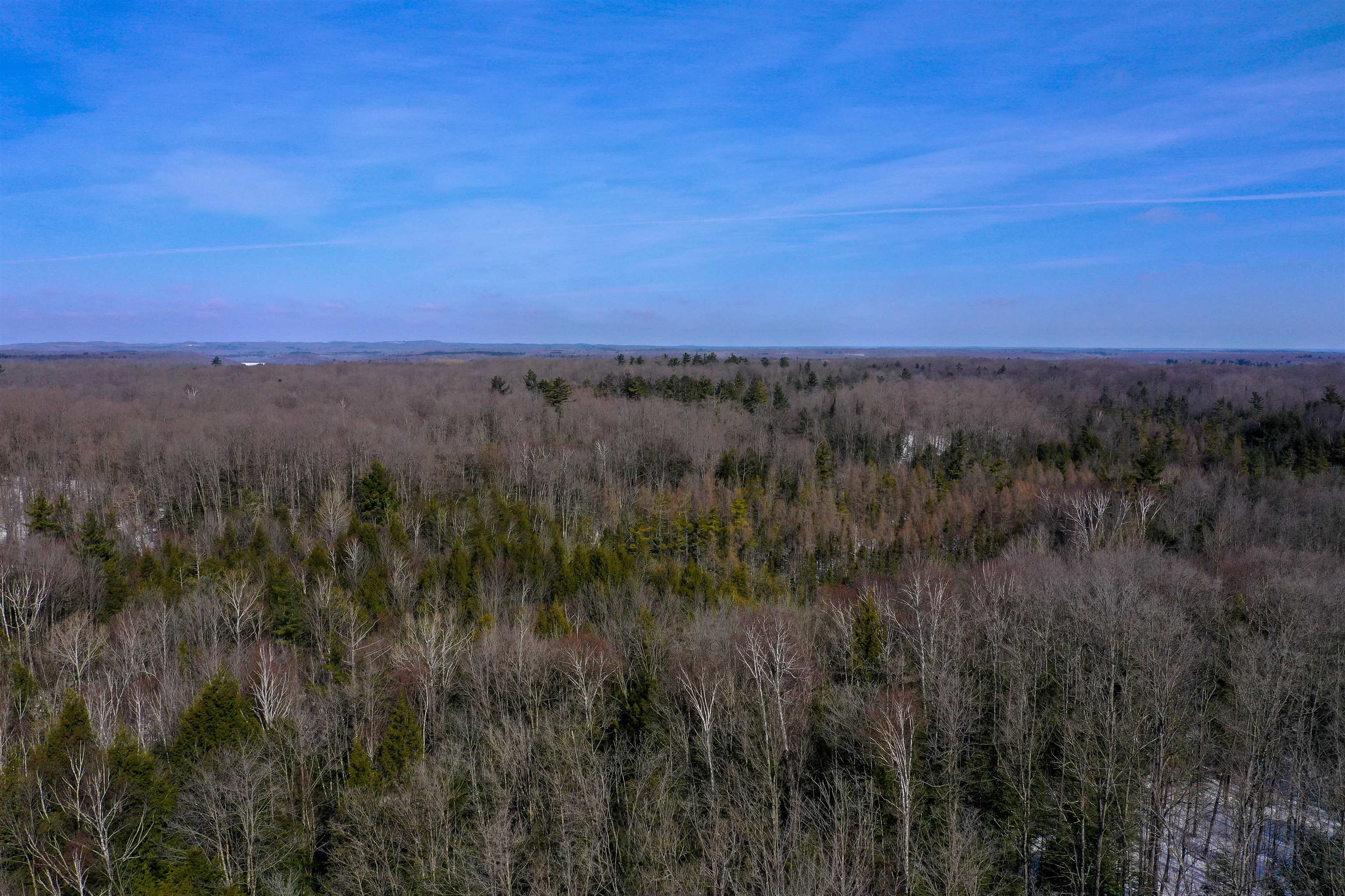 Emil Drive Rib Lake, WI 54470 - Photo 6 of 8
