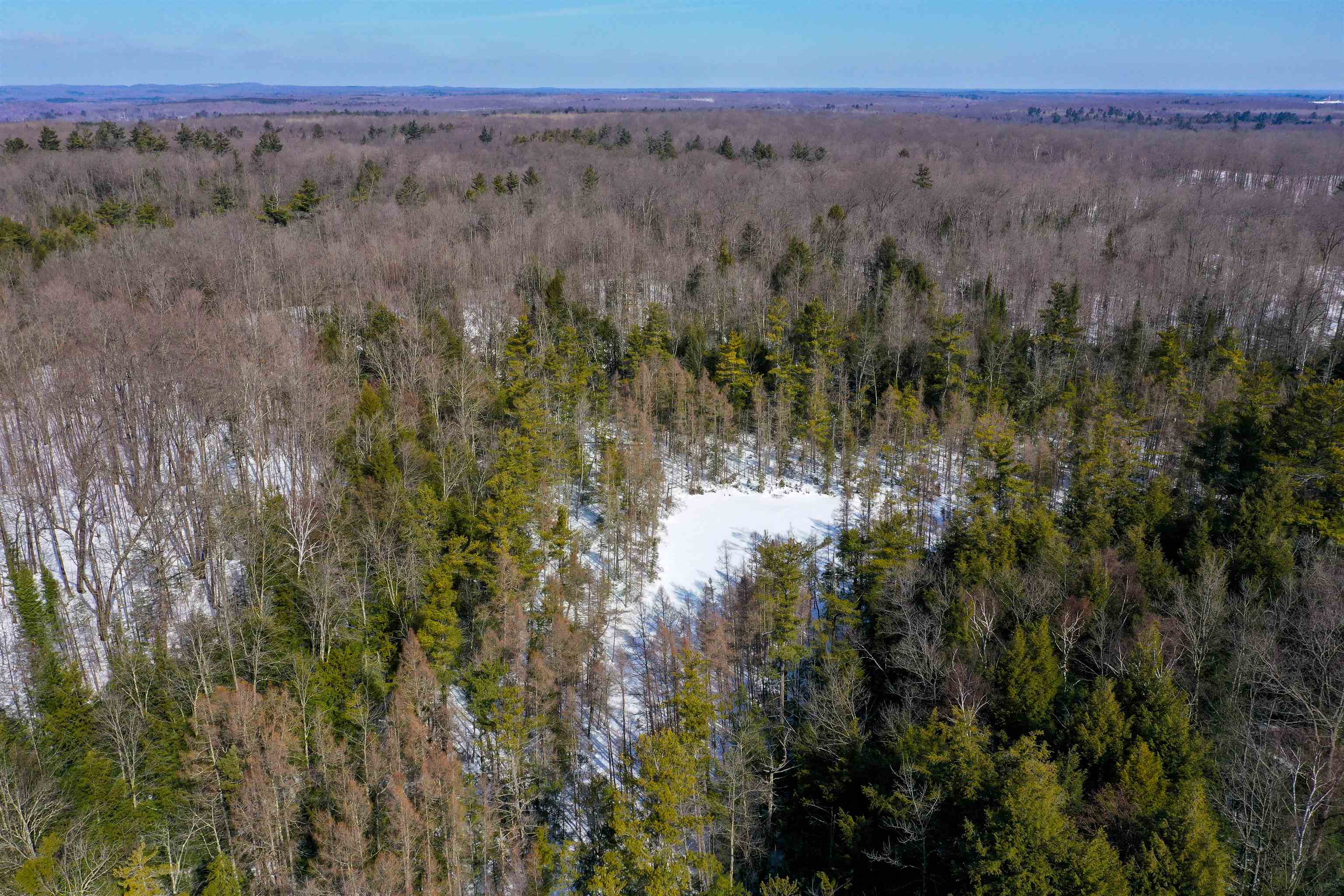 Emil Drive Rib Lake, WI 54470 - Photo 7 of 8