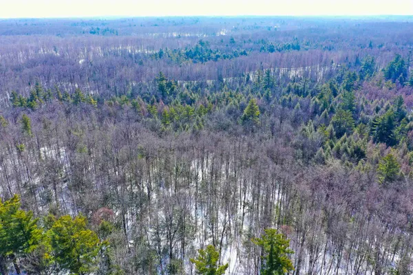 $249,900 | Emil Drive, Rib Lake, WI 54470