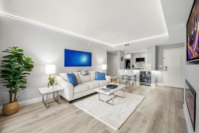 a living room with furniture and a potted plant