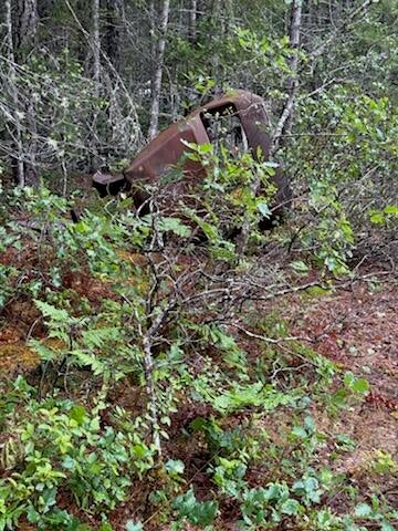 Lone Mountain Road, Unit 1300 Cave Junction, OR 97523 - Photo 6 of 15 car shell hiding in the brush.