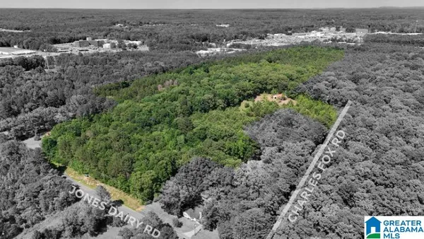 $450,000 | 0 Jones Dairy Road, Jasper, AL 35501